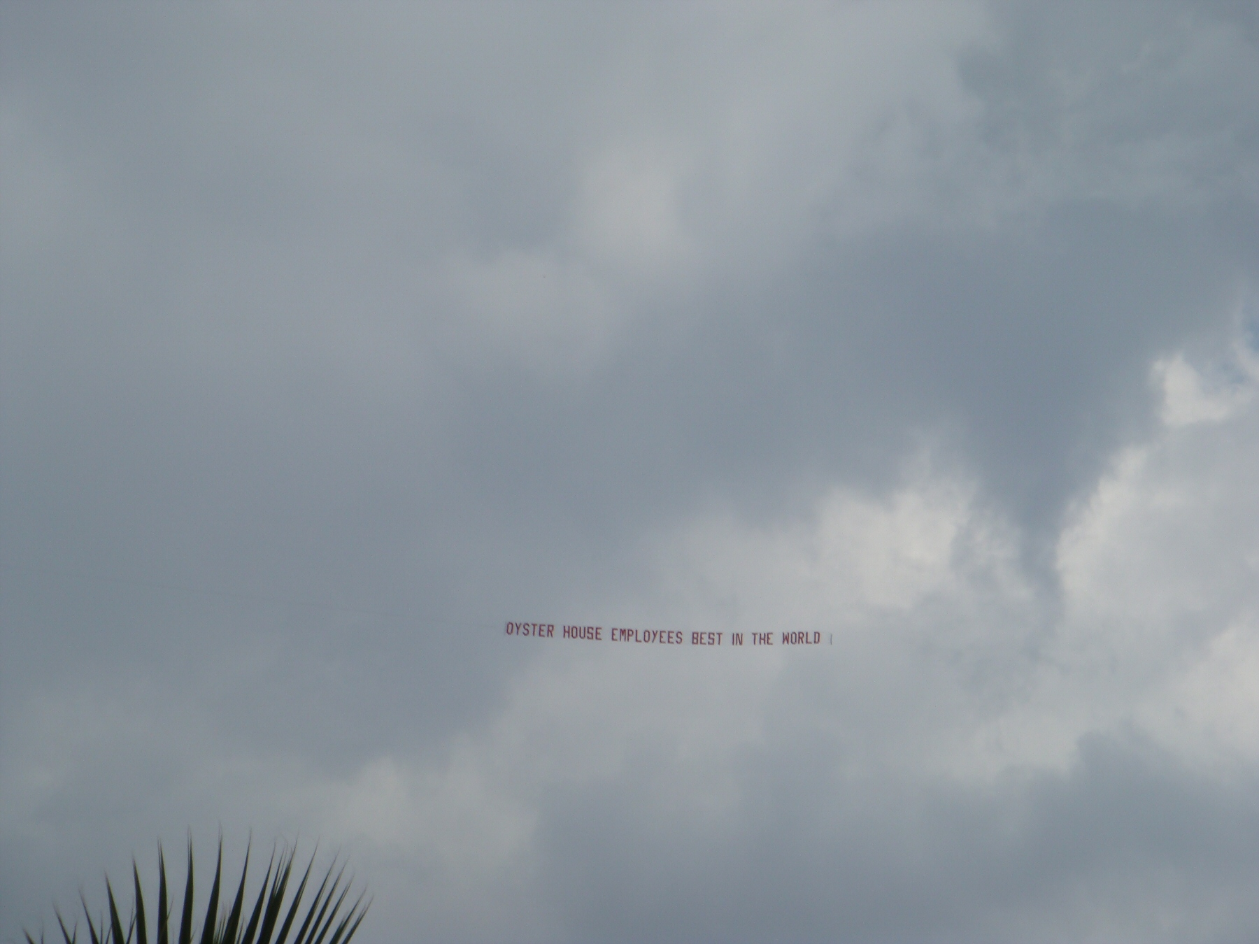 airplane flying banner