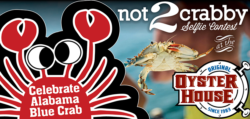 not2crabby billboard 2016