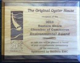 2013 Eastern Shore Environmental Award