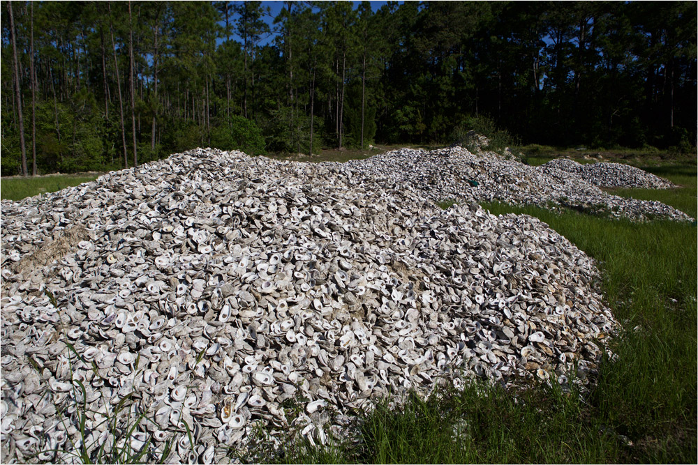 9.4 million oyster shells recovered from Gulf Coast restaurants