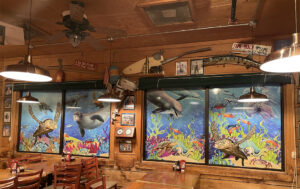 Delta Room Sea Turtle and Dolphin Window Graphics